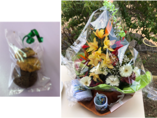 Plateau Technique VDM.